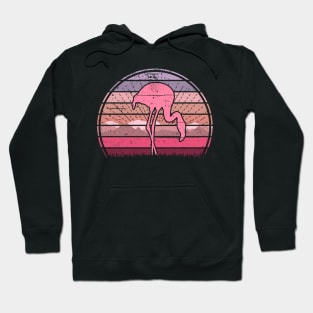 Flamingo Sunset Hoodie